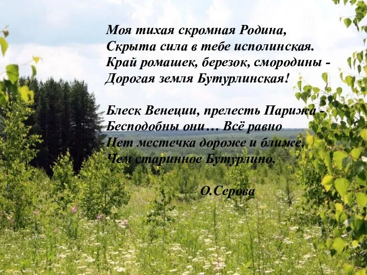 Моя тихая скромная Родина, Скрыта сила в тебе исполинская. Край ромашек, березок,