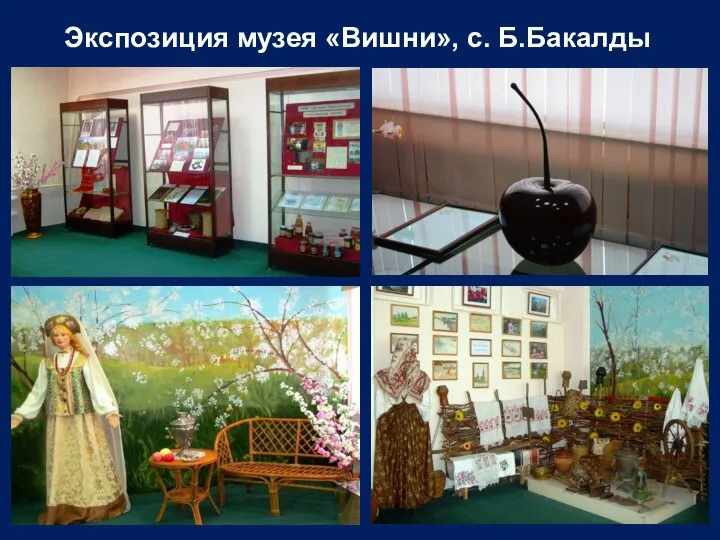 Экспозиция музея «Вишни», с. Б.Бакалды