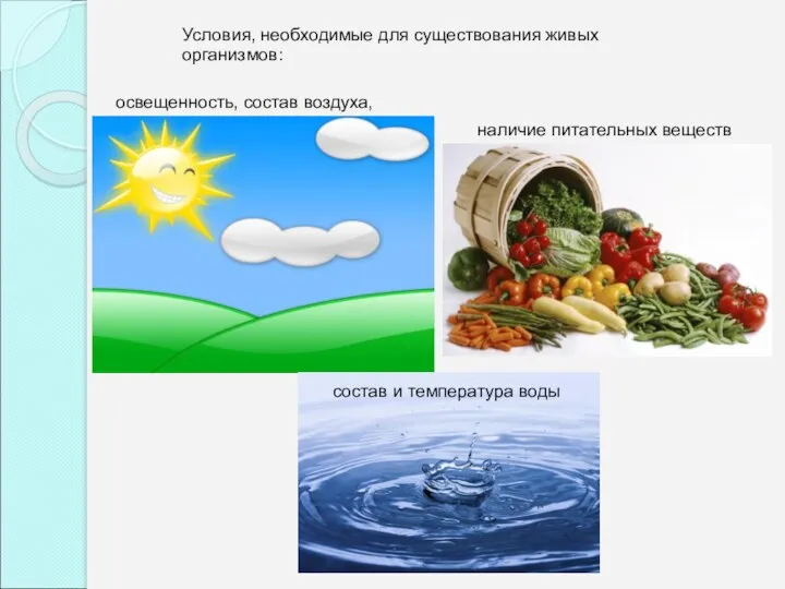 Условия, необходимые для существования живых организмов: освещенность, состав воздуха, наличие питательных веществ состав и температура воды