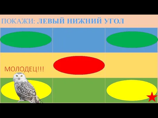 ПОКАЖИ: ЛЕВЫЙ НИЖНИЙ УГОЛ