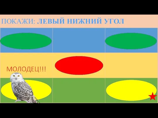 ПОКАЖИ: ЛЕВЫЙ НИЖНИЙ УГОЛ