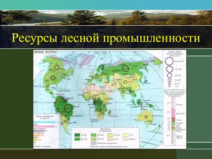 Ресурсы лесной промышленности