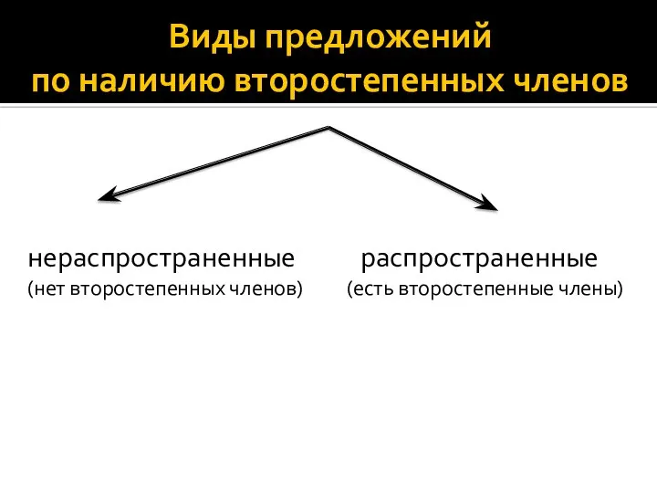 Виды предложений по наличию второстепенных членов нераспространенные распространенные (нет второстепенных членов) (есть второстепенные члены)