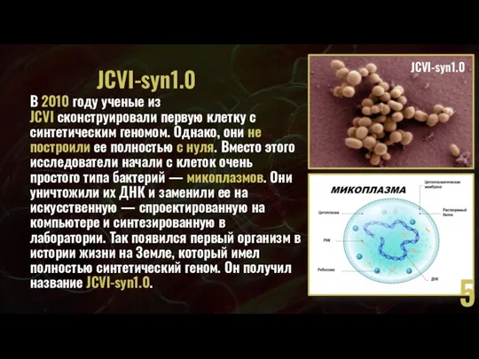 JCVI-syn1.0 В 2010 году ученые из JCVI сконструировали первую клетку с синтетическим