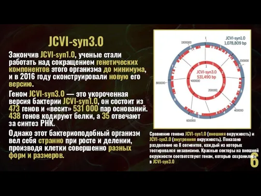 JCVI-syn3.0 Закончив JCVI-syn1.0, ученые стали работать над сокращением генетических компонентов этого организма