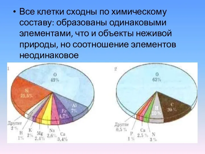 Все клетки сходны по химическому составу: образованы одинаковыми элементами, что и объекты