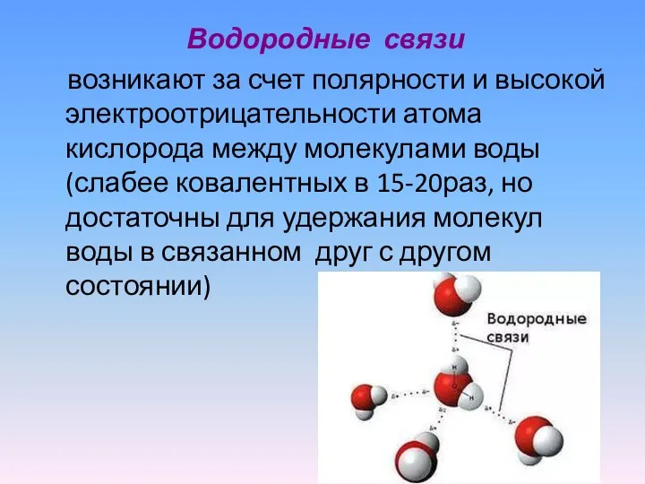 Водородные связи возникают за счет полярности и высокой электроотрицательности атома кислорода между