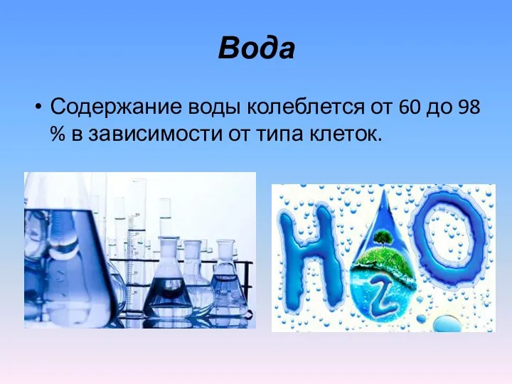 Вода Содержание воды колеблется от 60 до 98 % в зависимости от типа клеток.