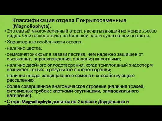 Классификация отдела Покрытосеменные (Magnoliophyta). Это самый многочисленный отдел, насчитывающий не менее 250000