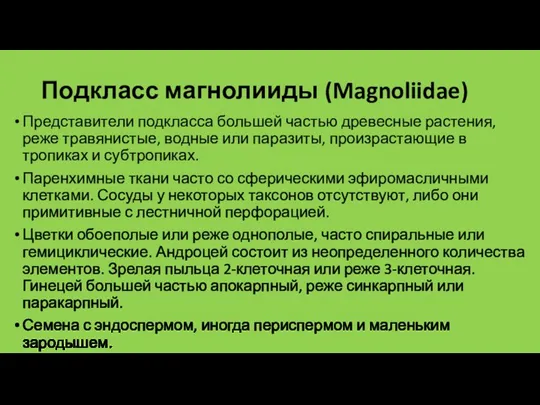 Подкласс магнолииды (Magnoliidae) Представители подкласса большей частью древесные растения, реже травянистые, водные