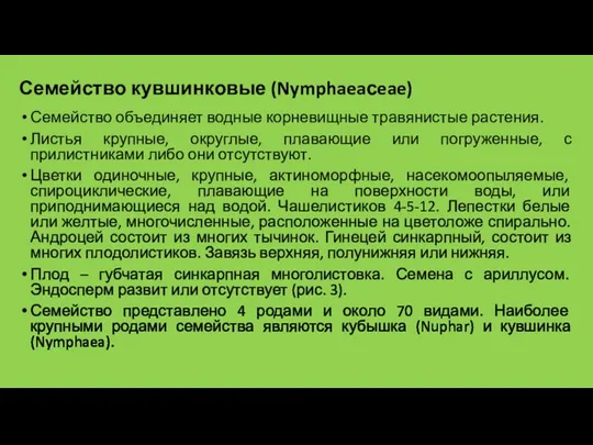 Семейство кувшинковые (Nymphaeaсeae) Семейство объединяет водные корневищные травянистые растения. Листья крупные, округлые,