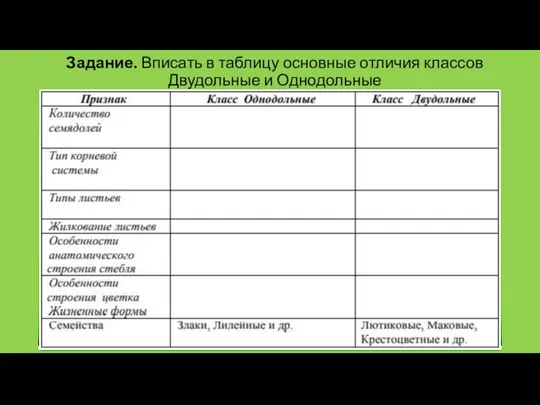 Задание. Вписать в таблицу основные отличия классов Двудольные и Однодольные