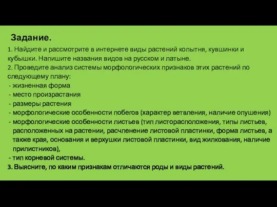 1. Найдите и рассмотрите в интернете виды растений копытня, кувшинки и кубышки.