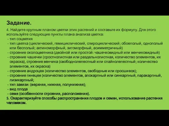 4. Найдите крупным планом цветки этих растений и составьте их формулу. Для