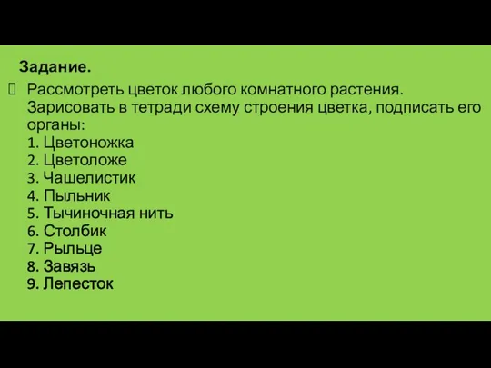 Рассмотреть цветок любого комнатного растения. Зарисовать в тетради схему строения цветка, подписать