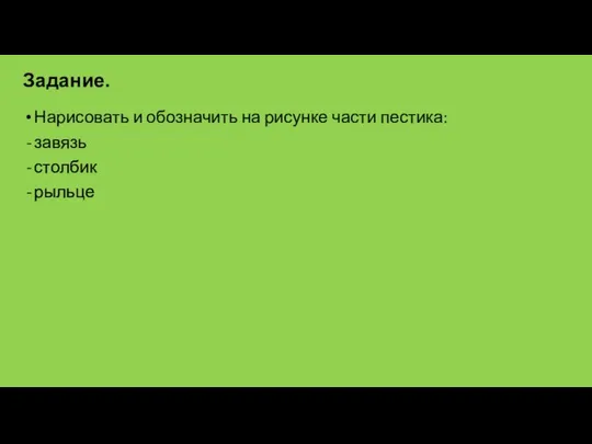 Нарисовать и обозначить на рисунке части пестика: завязь столбик рыльце Задание.