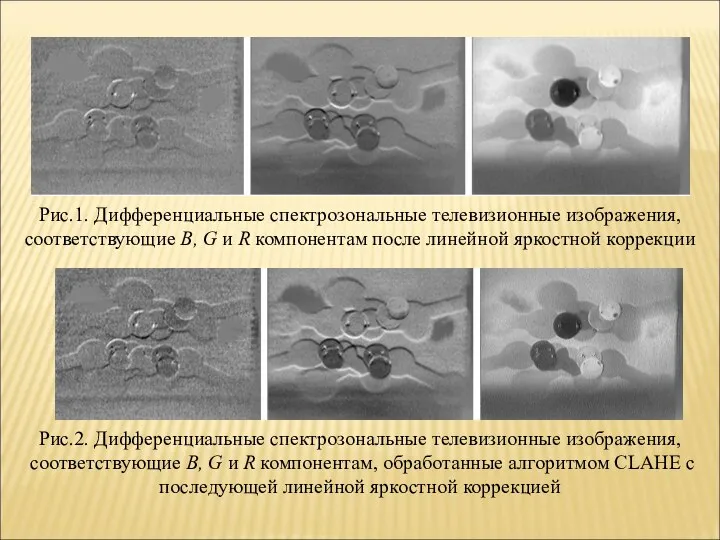 Рис.1. Дифференциальные спектрозональные телевизионные изображения, соответствующие B, G и R компонентам после