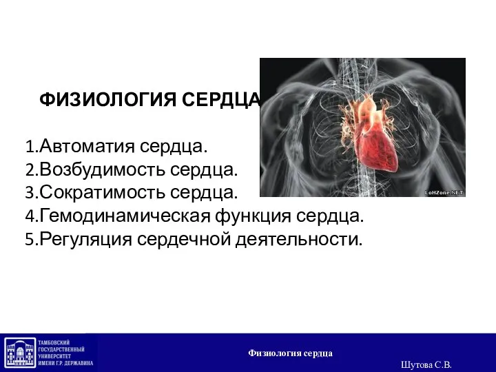 ФИЗИОЛОГИЯ СЕРДЦА Автоматия сердца. Возбудимость сердца. Сократимость сердца. Гемодинамическая функция сердца. Регуляция