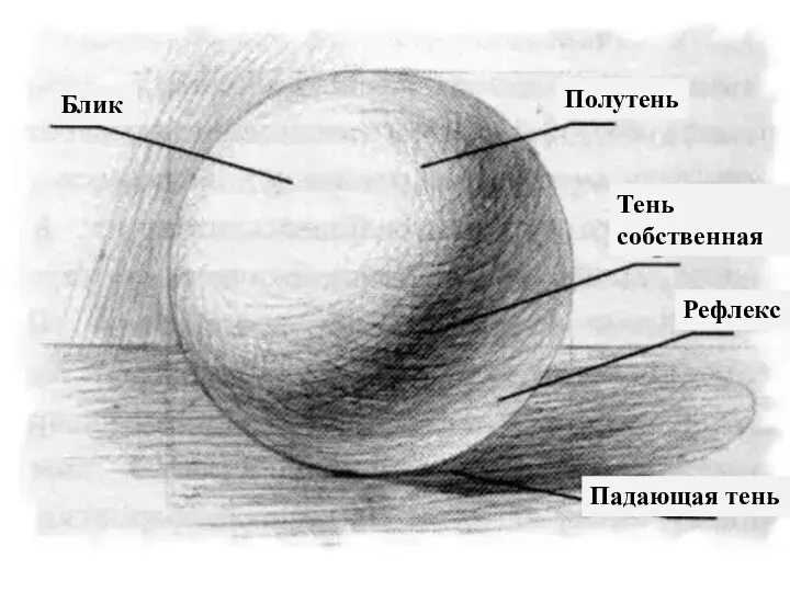 Блик Полутень Тень собственная Рефлекс Падающая тень