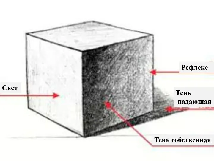 Рефлекс Тень падающая Тень собственная Свет