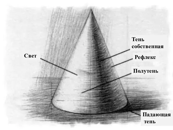 Свет Полутень Тень собственная Рефлекс Падающая тень