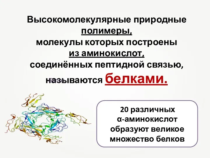 Высокомолекулярные природные полимеры, молекулы которых построены из аминокислот, соединённых пептидной связью, называются