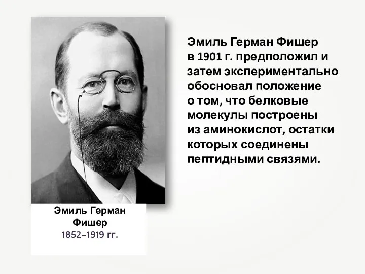 Эмиль Герман Фишер 1852–1919 гг. Эмиль Герман Фишер в 1901 г. предположил