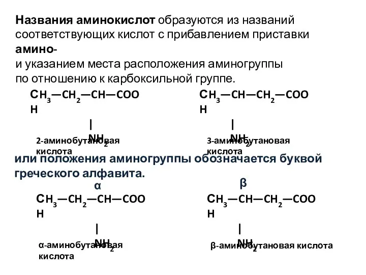 СH3—CH2—CH—COOH | NH2 СH3—CH—CH2—COOH | NH2 2-аминобутановая кислота 3-аминобутановая кислота Названия аминокислот