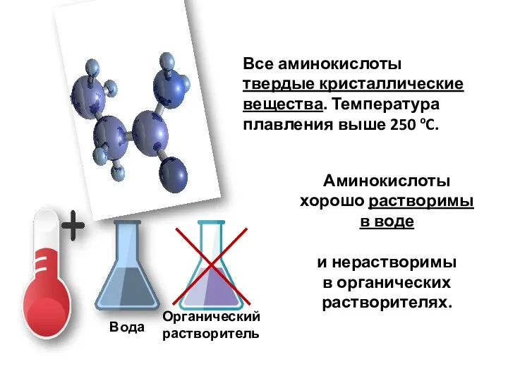 Аминокислоты Все аминокислоты твердые кристаллические вещества. Температура плавления выше 250 oC. Аминокислоты