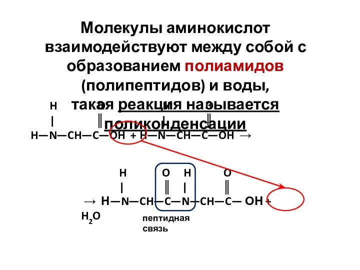 Молекулы аминокислот взаимодействуют между собой с образованием полиамидов (полипептидов) и воды, такая