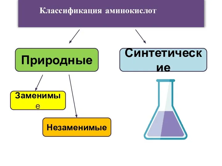 Классификация аминокислот Природные Синтетические Заменимые Незаменимые