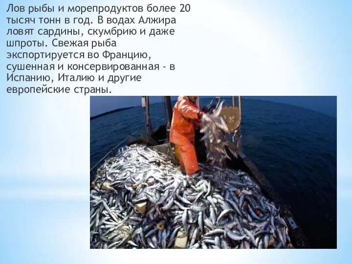 Лов рыбы и морепродуктов более 20 тысяч тонн в год. В водах