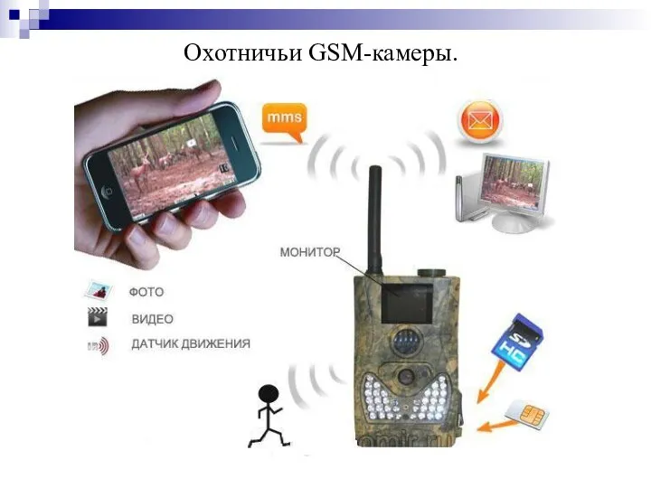 Охотничьи GSM-камеры.