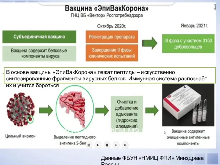 Данные ФБУН «НМИЦ ФПИ» Минздрава России В основе вакцины «ЭпиВакКорона» лежат пептиды