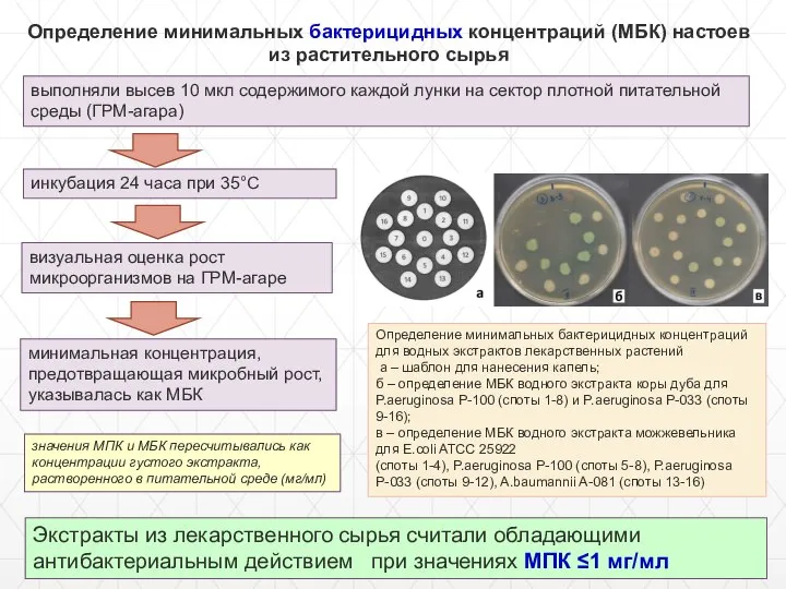 инкубация 24 часа при 35°С визуальная оценка рост микроорганизмов на ГРМ-агаре минимальная