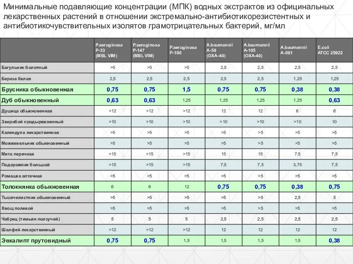 Минимальные подавляющие концентрации (МПК) водных экстрактов из официнальных лекарственных растений в отношении