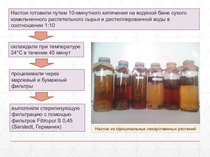 Настои из официнальных лекарственных растений Настои готовили путем 10-минутного кипячения на водяной