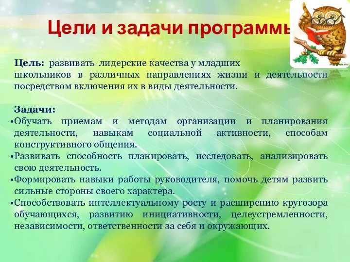 Цель: развивать лидерские качества у младших школьников в различных направлениях жизни и