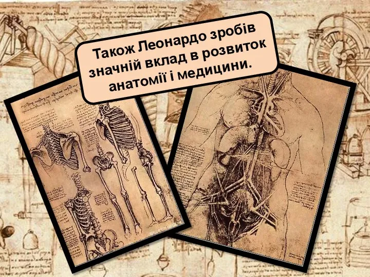 Також Леонардо зробів значній вклад в розвиток анатомії і медицини.