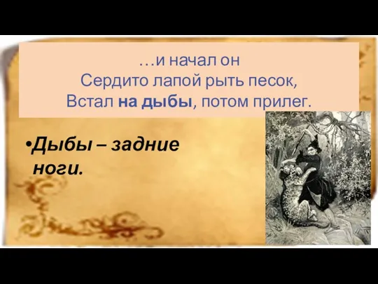 …и начал он Сердито лапой рыть песок, Встал на дыбы, потом прилег. Дыбы – задние ноги.