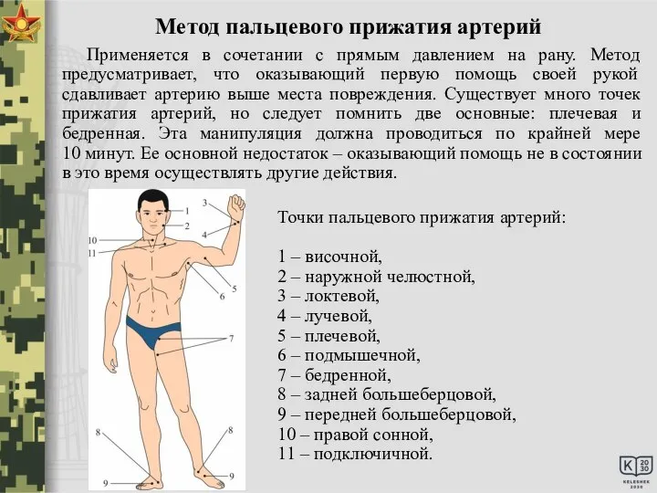 Точки пальцевого прижатия артерий: 1 – височной, 2 – наружной челюстной, 3