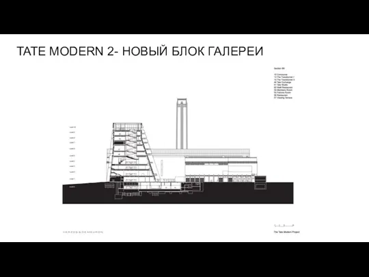 TATE MODERN 2- НОВЫЙ БЛОК ГАЛЕРЕИ ЗОНИРОВАНИЕ ЭТАЖЕЙ