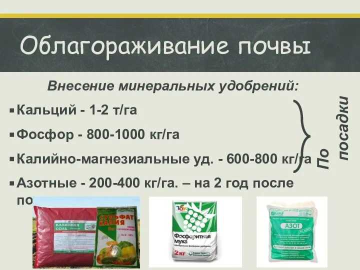 Облагораживание почвы Внесение минеральных удобрений: Кальций - 1-2 т/га Фосфор - 800-1000