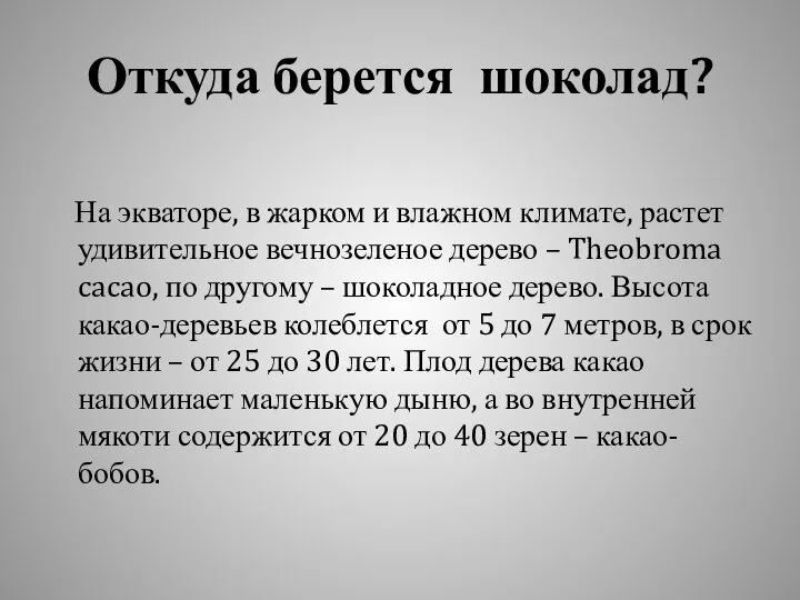 Откуда берется шоколад? На экваторе, в жарком и влажном климате, растет удивительное