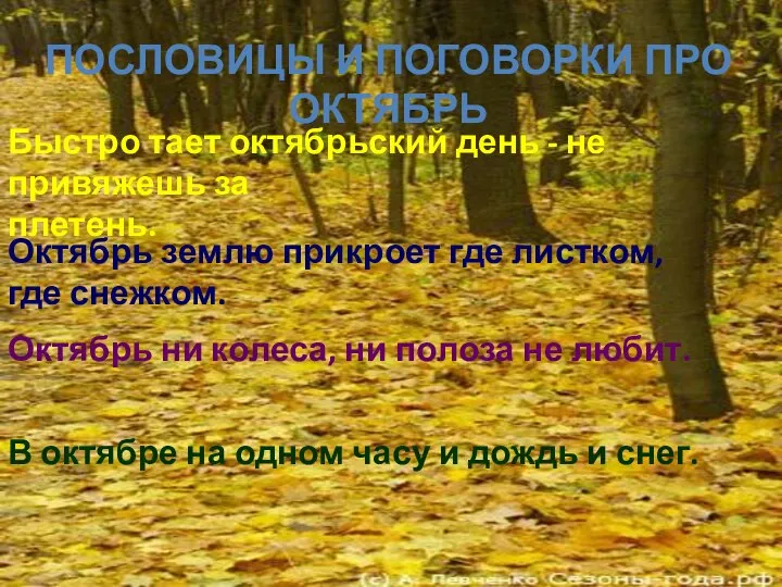 Быстро тает октябрьский день - не привяжешь за плетень. Октябрь землю прикроет