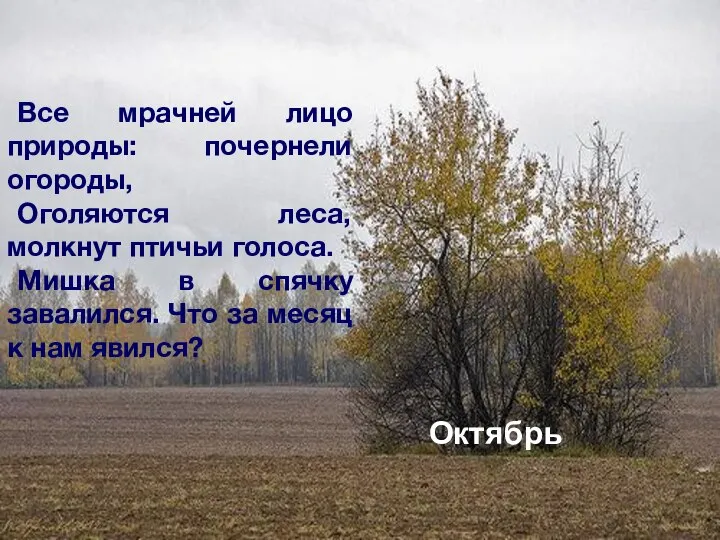 Все мрачней лицо природы: почернели огороды, Оголяются леса, молкнут птичьи голоса. Мишка