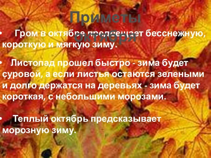 Гром в октябре предвещает бесснежную, короткую и мягкую зиму. Листопад прошел быстро