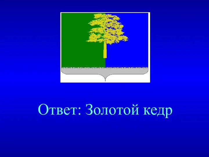 Ответ: Золотой кедр