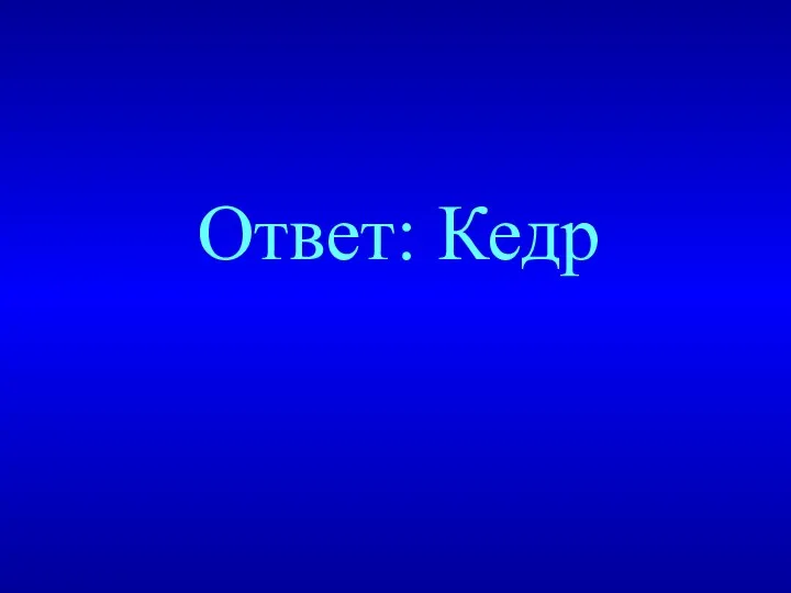 Ответ: Кедр