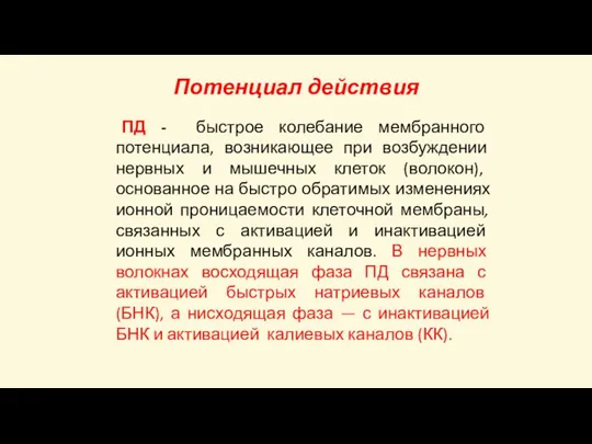 Потенциал действия ПД - быстрое колебание мембранного потенциала, возникающее при возбуждении нервных